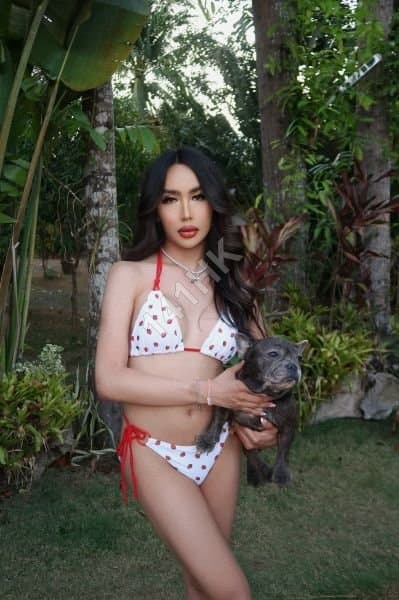 Sophie-3 — islands 141HK photo 18